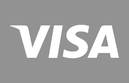 Visa logo in grey, representing one of the leading global credit and debit card networks