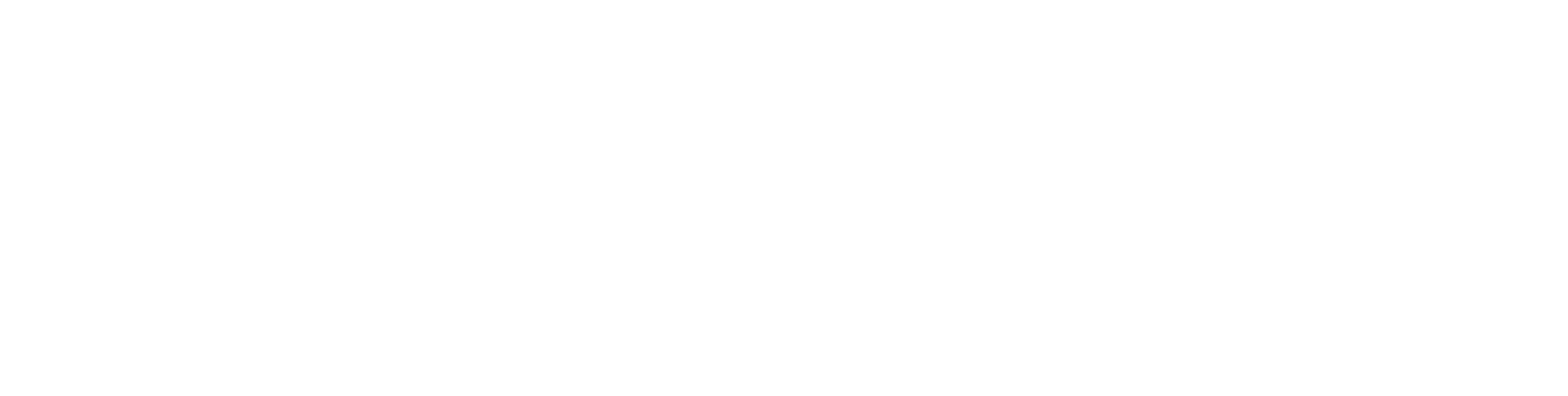 Nera Marketing logo