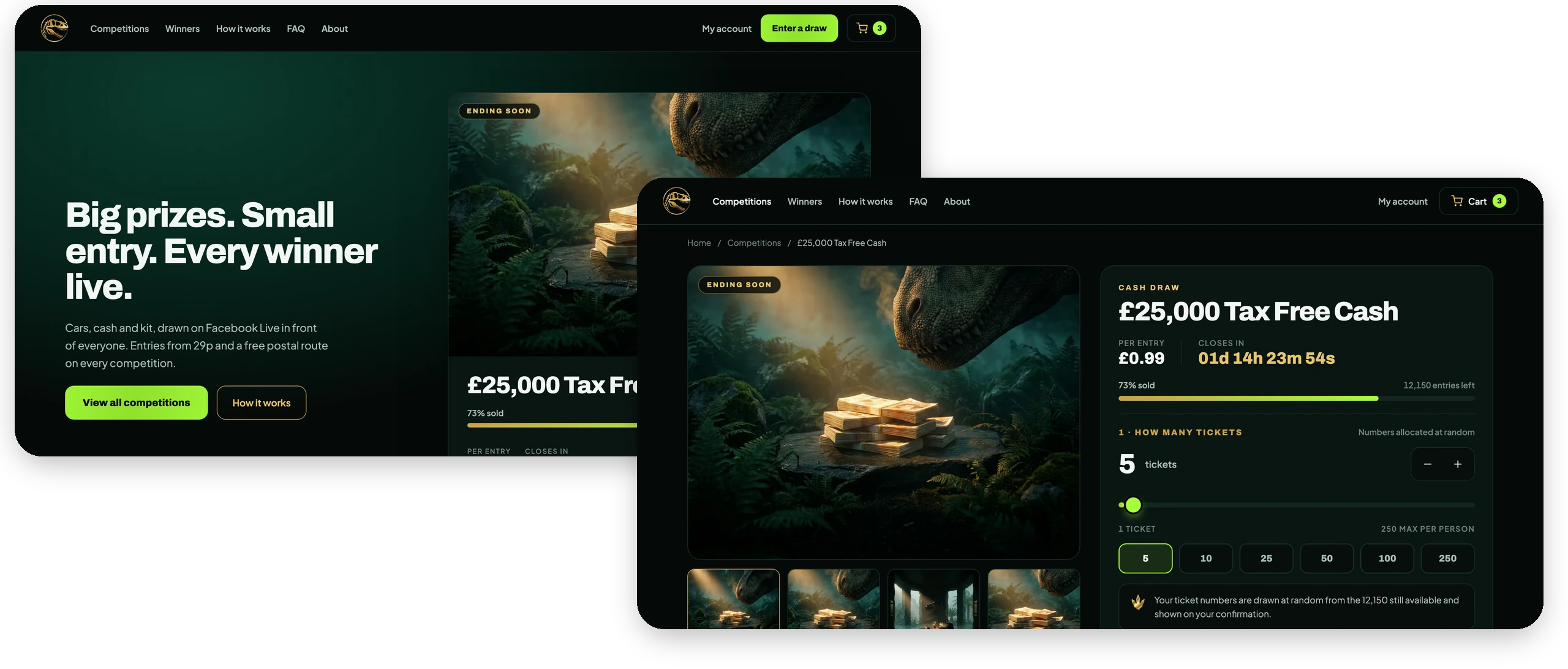 Dino Competitions competition website homepage and competition page designed by Nera Marketing